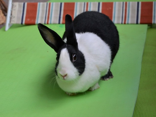 210905 okkiDSC_2447 (2)