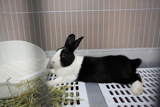 20230729げんDSC01737