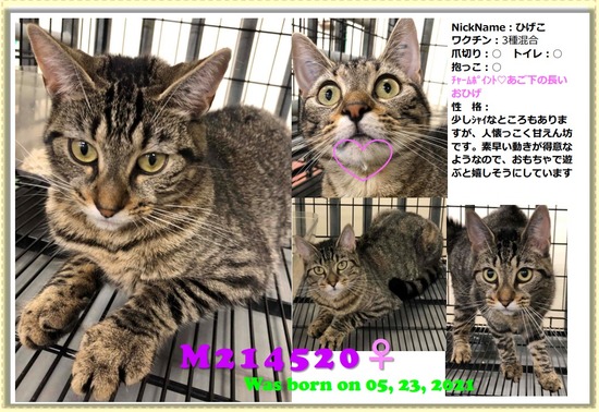 Web キャプチャ_15-7-2022_13542_