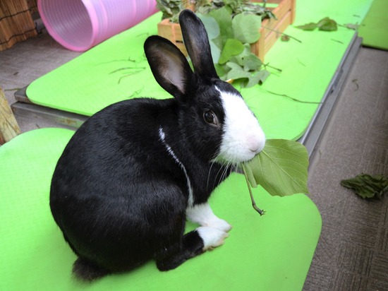 210912 obi DSC_2530 (2)