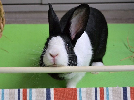 210912 bi2 DSC_0307 (2)