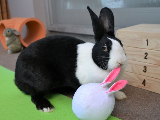 210905 itoDSC_2704 (2)