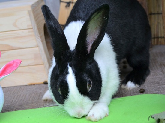 210905 itoDSC_2997 (2)