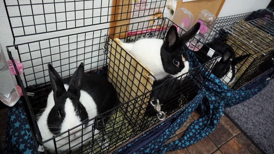 230114あいまつみるDSC04803