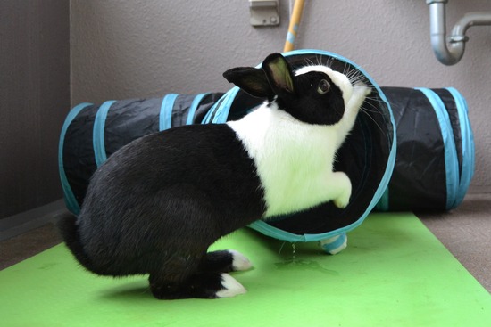 210912 powa DSC_2120 (2)