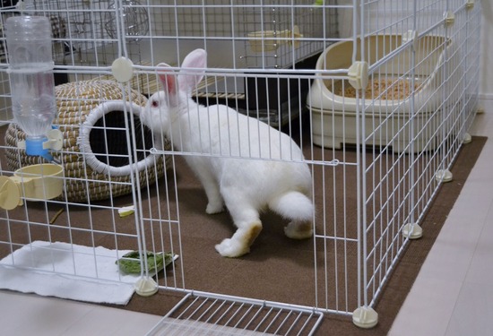 210828 ミルクDSC_2136 (2)