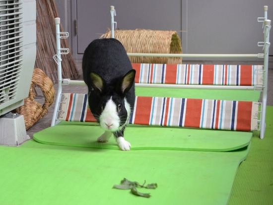 210912 obi DSC_2540 (2)