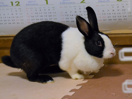 210815 おっきDSC_2284 (2)