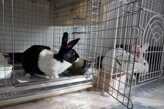 230311みつPDSC05461