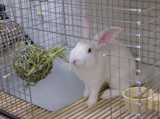 210828 ミルクDSC_2167 (2)