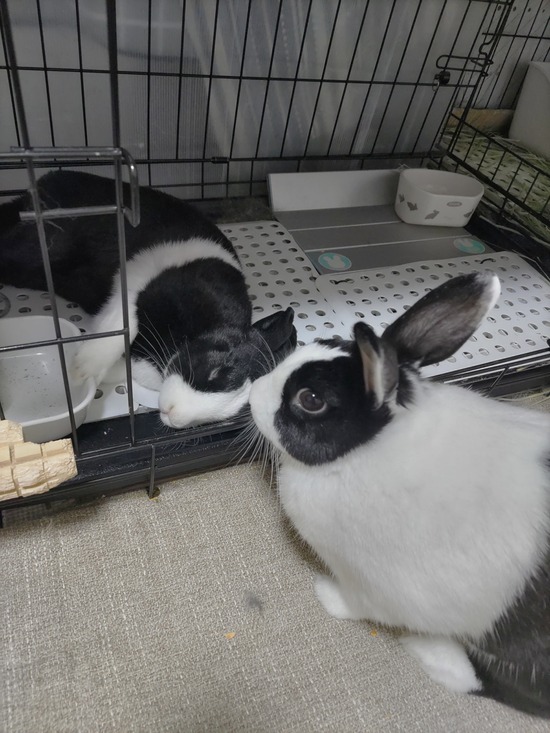 BeautyPlus_20231230225658376_save