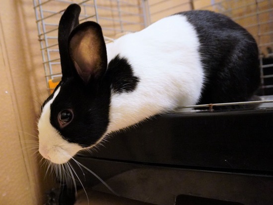 221230てつDSC04129