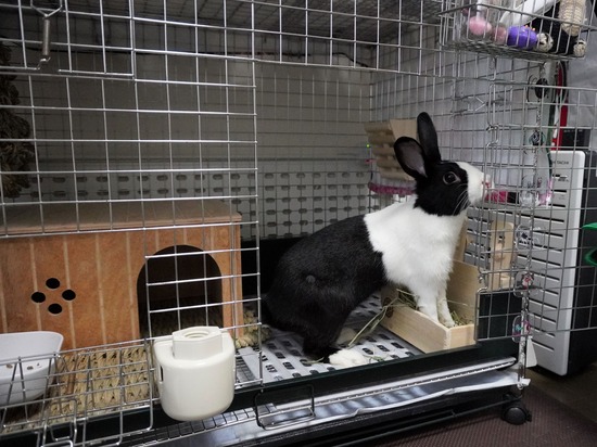 221127プーリDSC03873 (2)