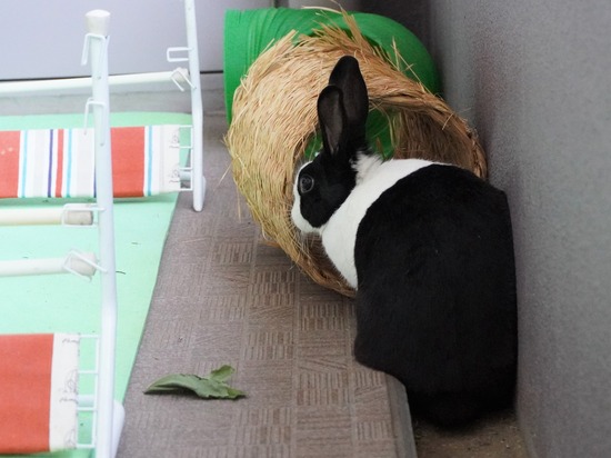 20230429くりDSC06171