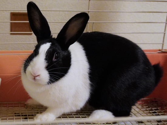 221230あいDSC04256