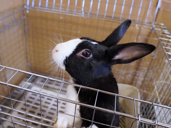 230212こんDSC05312