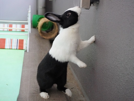 20230429あいDSC06685