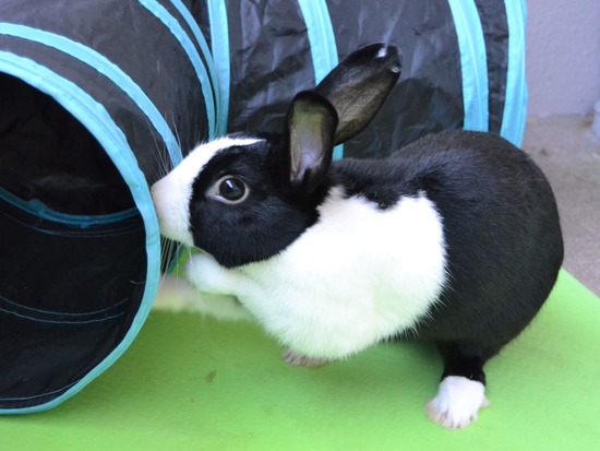 210920 b2 DSC_2063 (2)