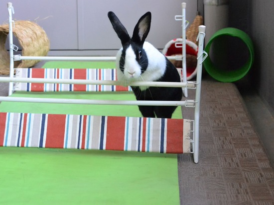 211123 komaDSC_1472 (2)