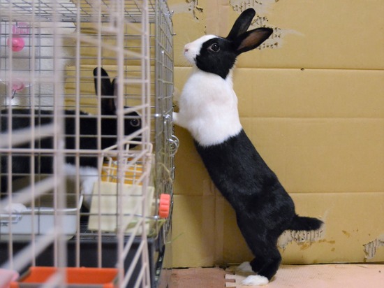 210815 こまDSC_2213 (2)