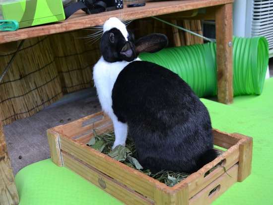 210905 itoDSC_2990 (2)