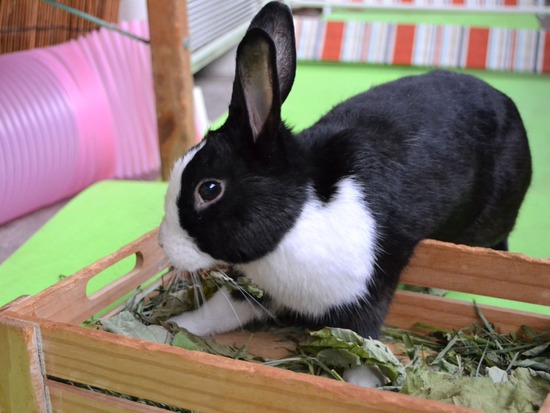 211024 obi1DSC_1366 (2)