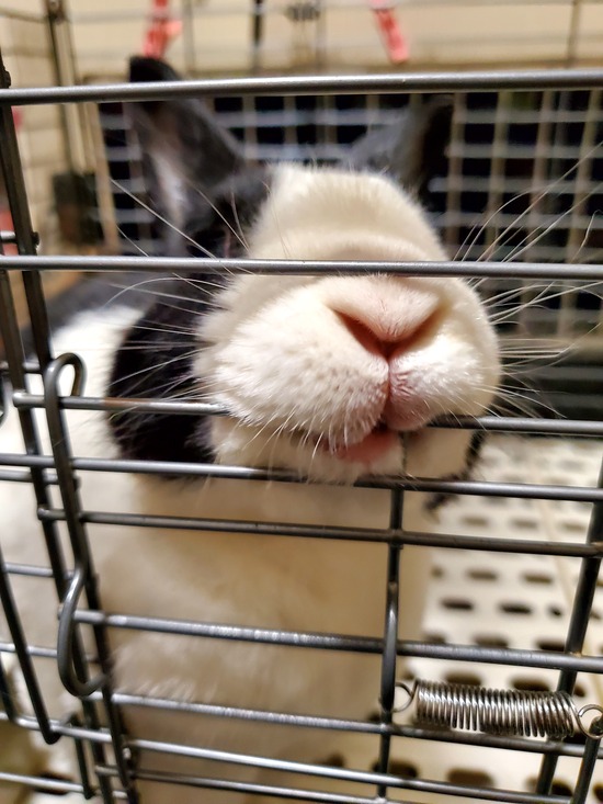 20221130_214306 (002)