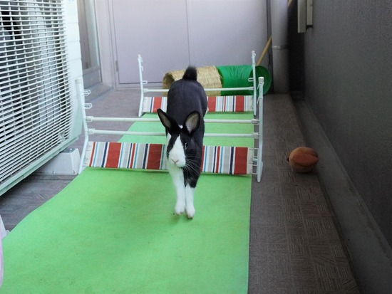 220129ビスケDSC04835 (2)