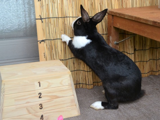 210912 obi DSC_2754 (2)