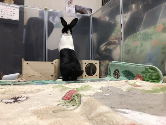 D630BF17-CAAB-467B-A2C8-FEFF8D75D216