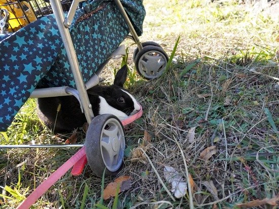 221218もなかDSC04033 (2)