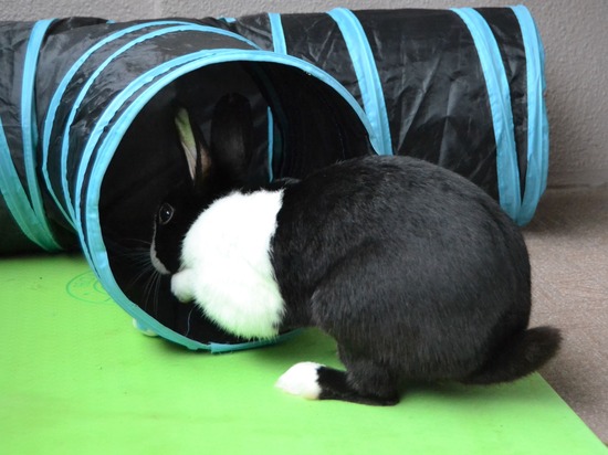 210912 bi2 DSC_2966 (2)