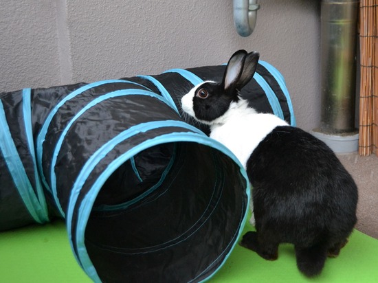 210905 おっきDSC_2321 (2)