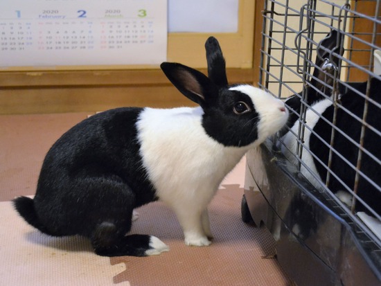 210723 ぽわDSC_2964 (2)