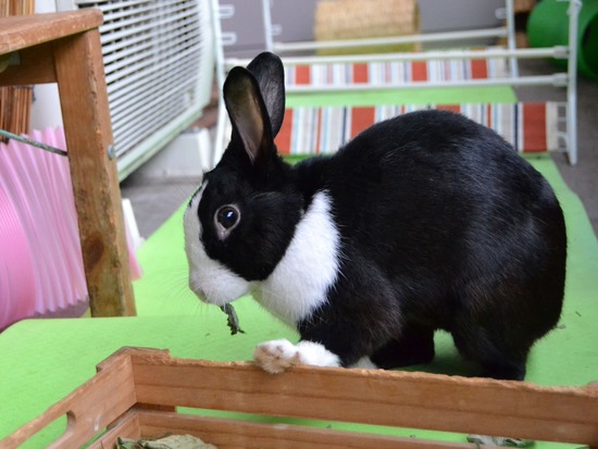 211024 オビワンDSC_1372 (2)