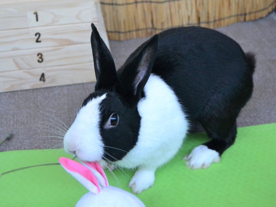 210920 b2 DSC_2121 (2)