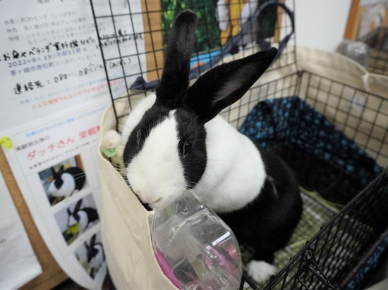 230114るりDSC04781