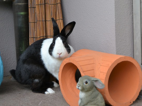 210912 powa DSC_2209 (2)