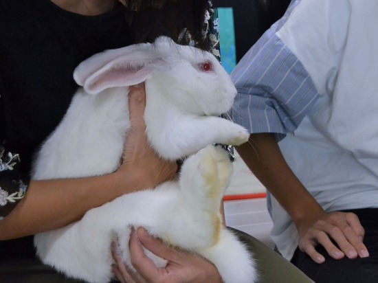 210828 ミルクDSC_2078 (2)