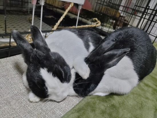 BeautyPlus_20231230230133455_save