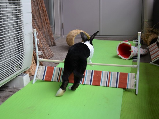 210905 こまDSC_2224 (2)