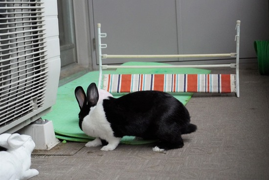 20230611みるDSC00649