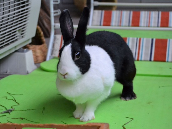 210912 okki DSC_0454 (2)