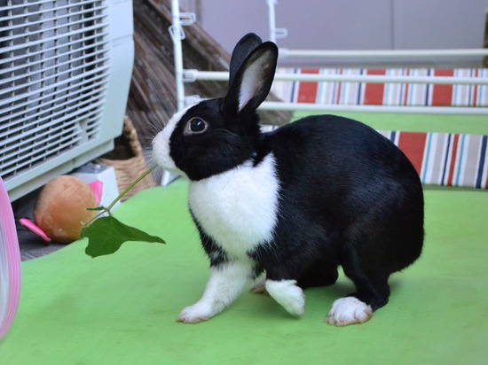 210920 obi DSC_2161 (2)