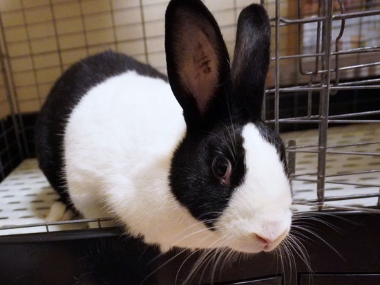 221230すいDSC04280