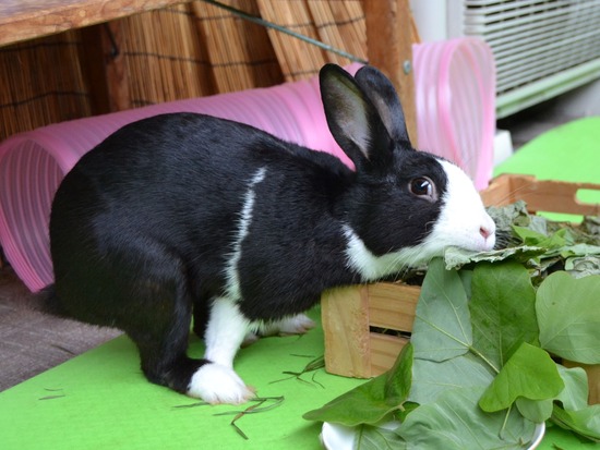 210912 obi DSC_2628 (2)