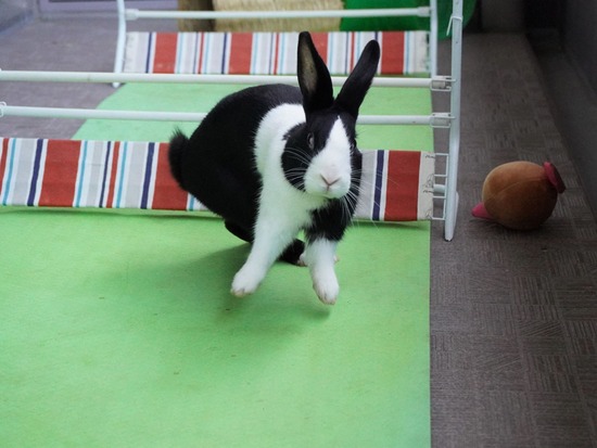 220129ビスケDSC04741 (2)