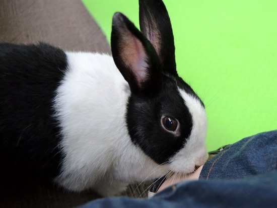 210905 okkiDSC_2572 (2)