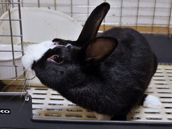 221230こんDSC04184