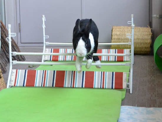 210920 obi DSC_2141 (2)